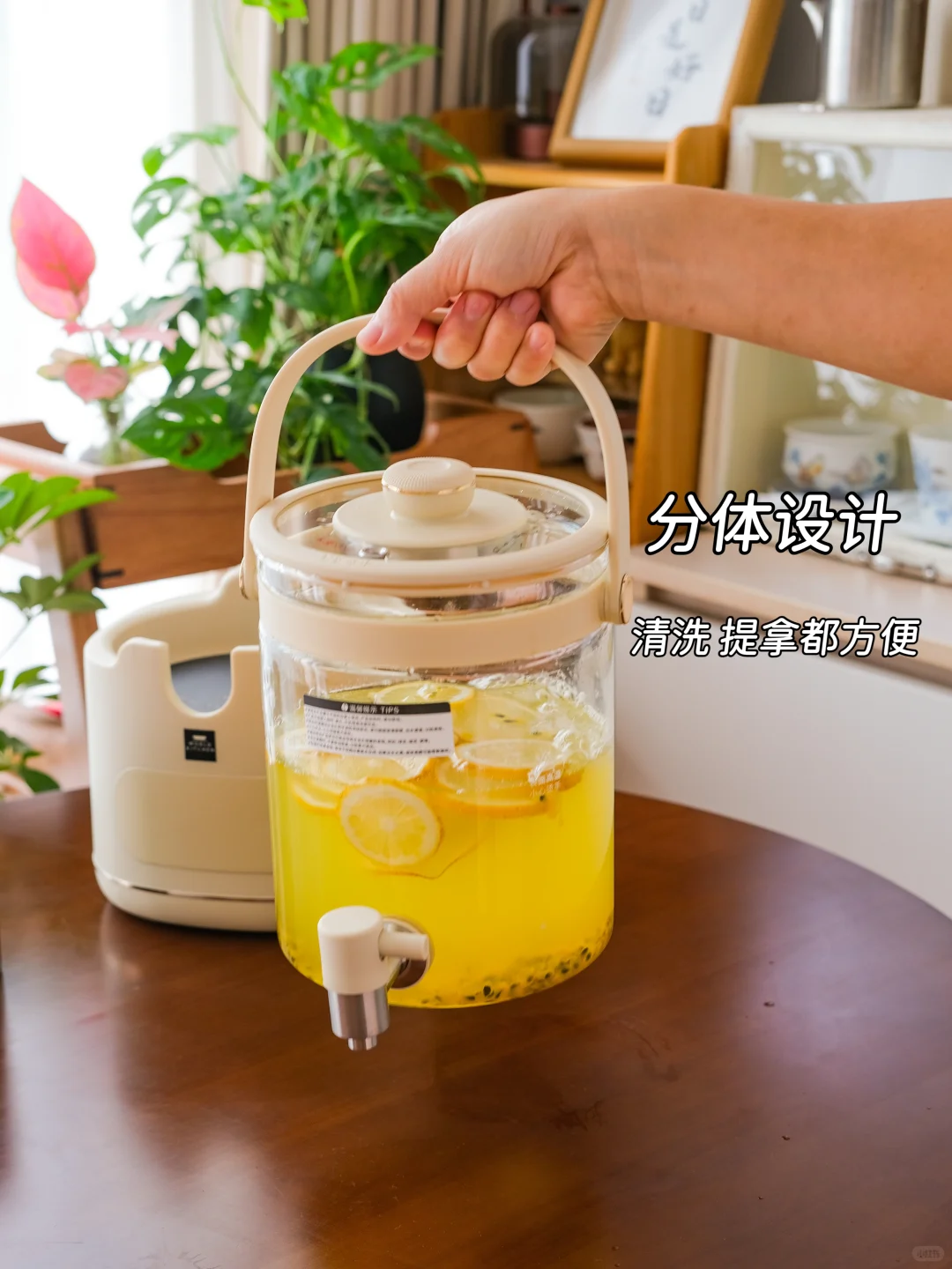 大容量全玻璃养生壶…建议每个家庭人手一个