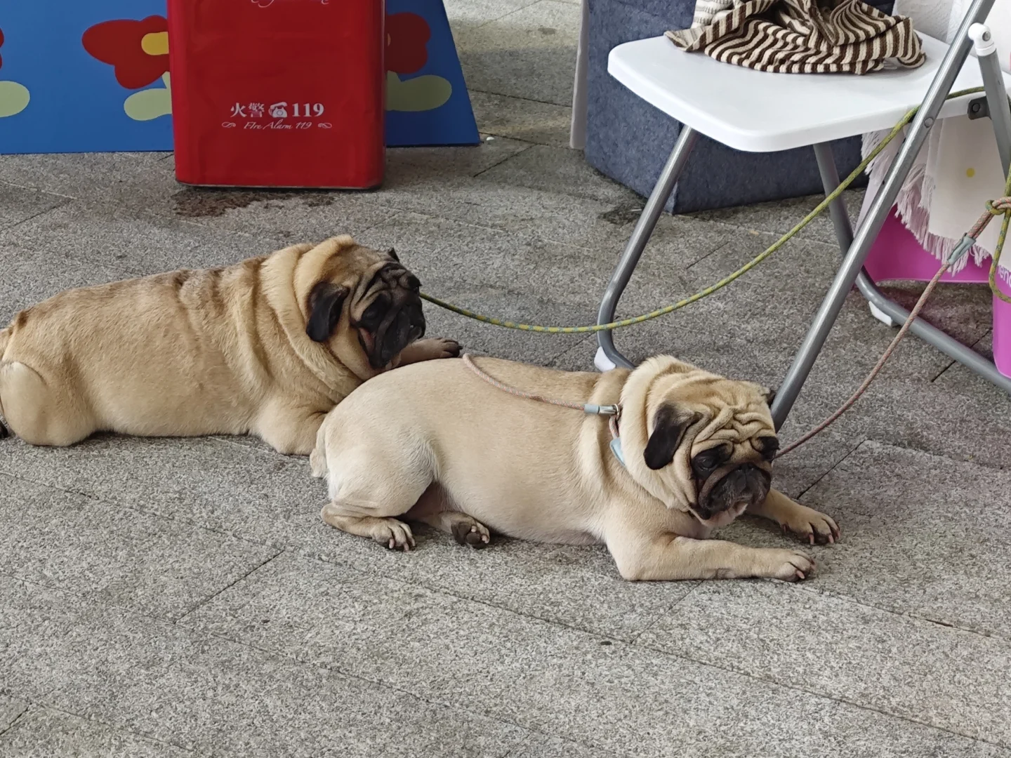 血泪总结！这些仪器操作雷区我替你踩过了