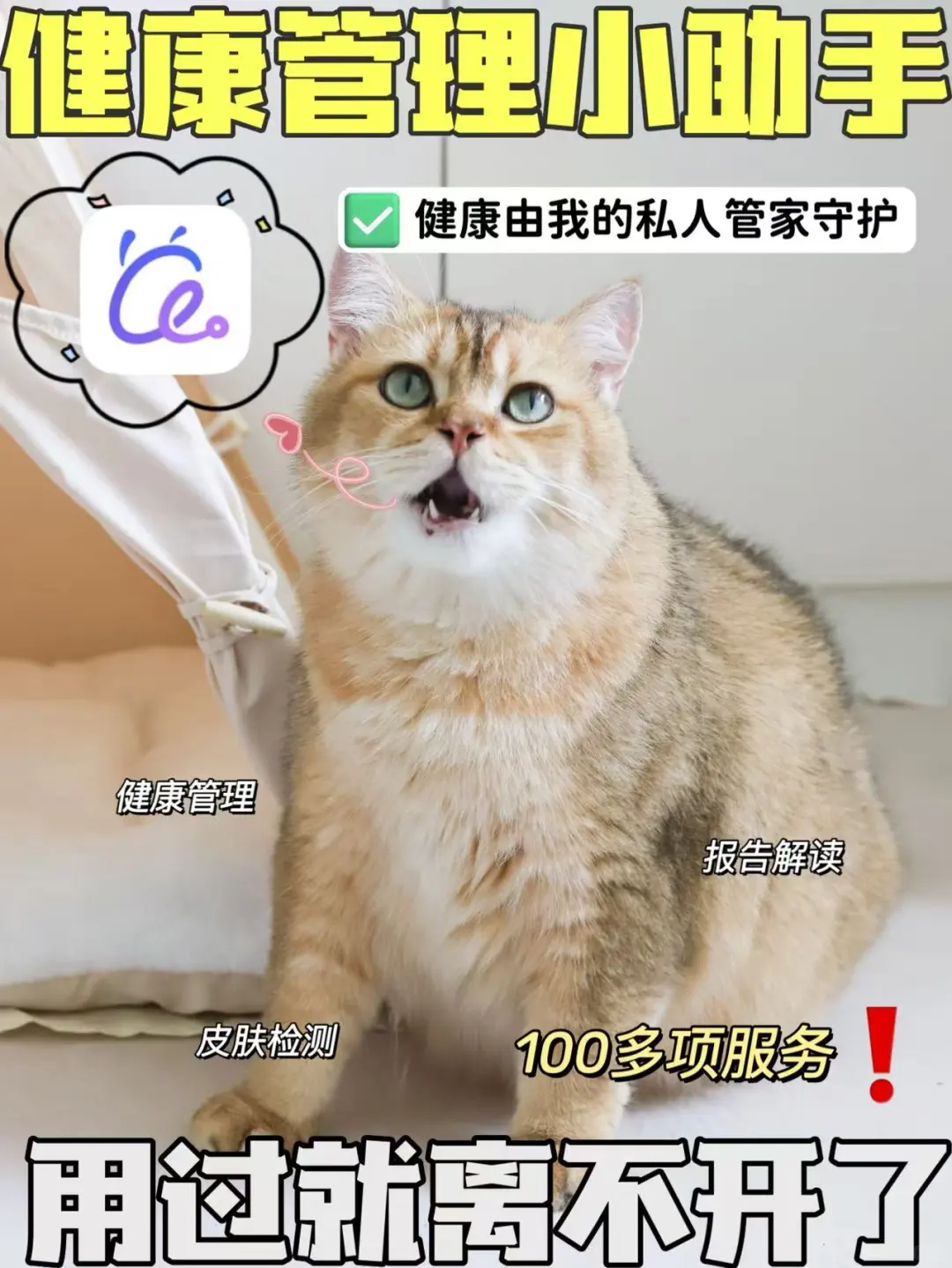 健康管理小助手，用过就离不开了