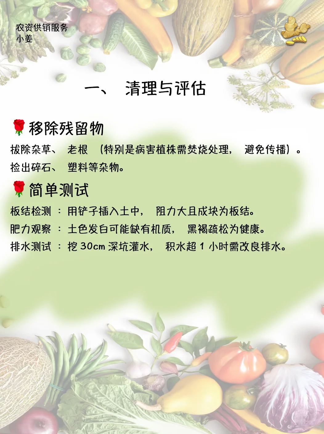 ?【总结篇】小菜园旧土翻新判断及处理