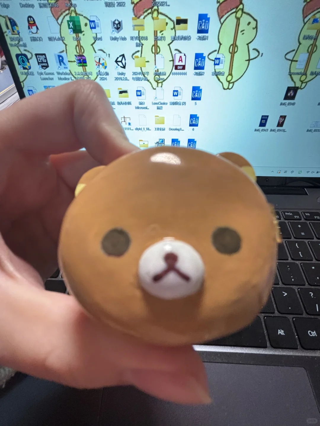 谁能猜到熊头里面是什么？