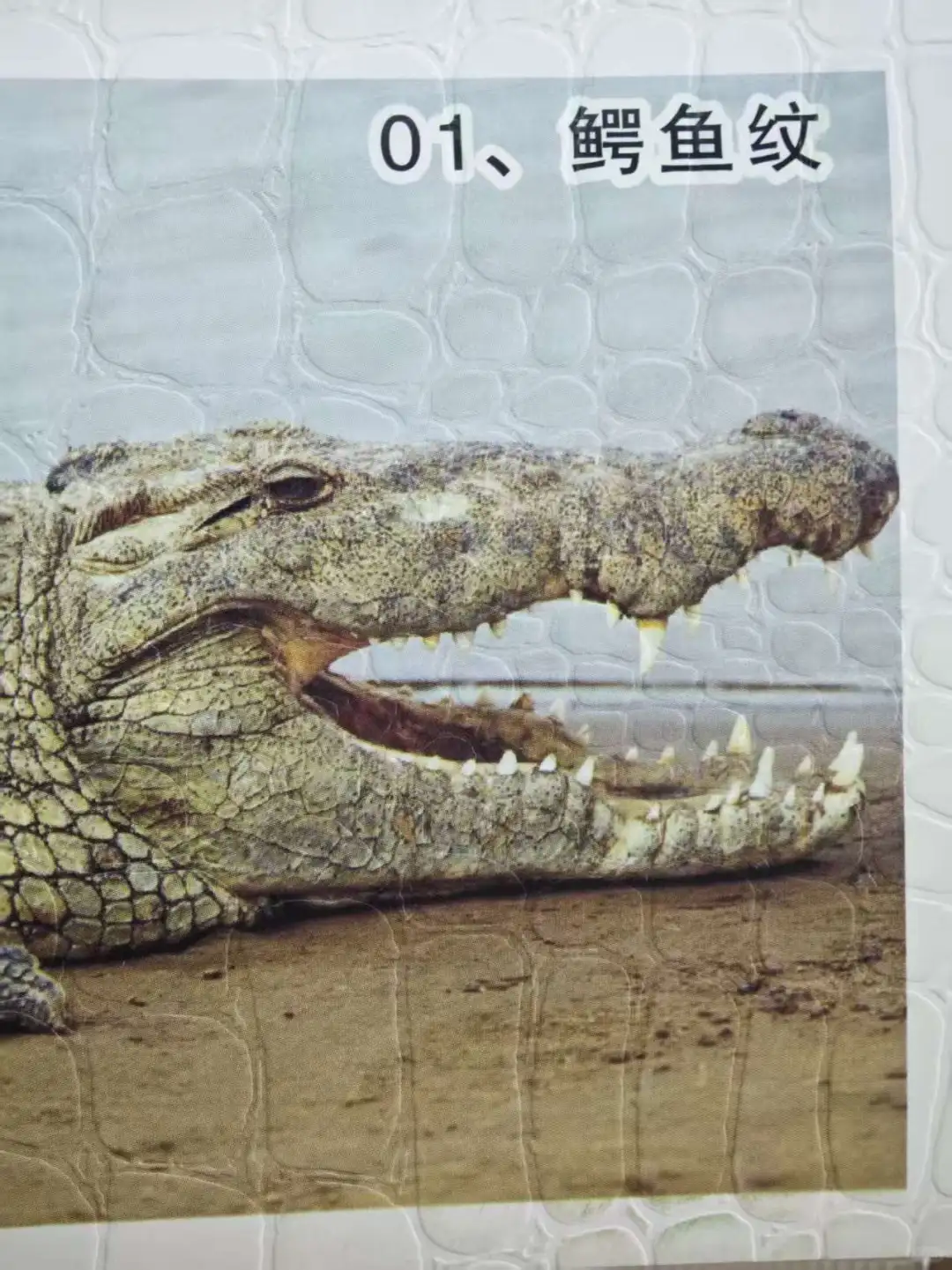 各种纹样的压印