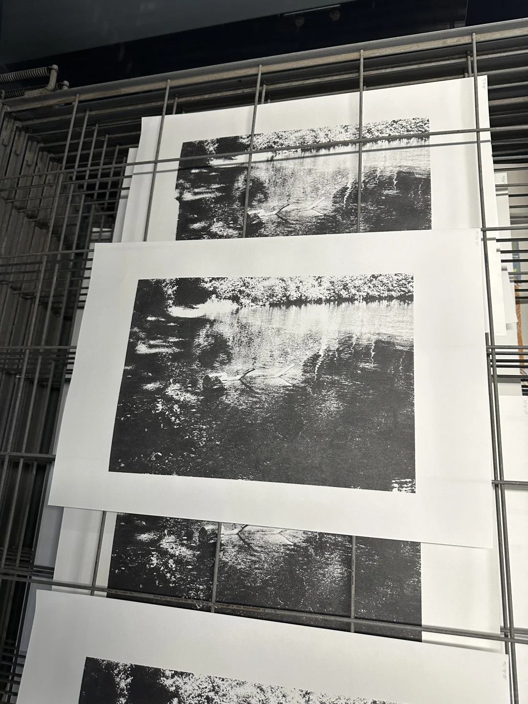 摄影｜丝网印刷