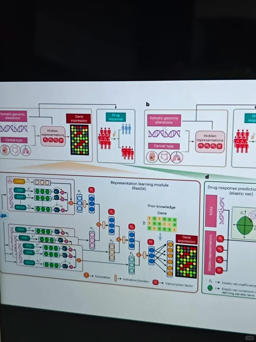 我导都说我绘图水平提升太快了