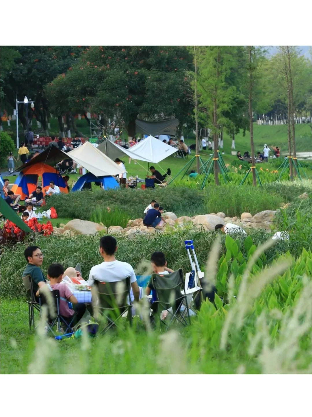 从劣五类水到幸福之河！广州黄埔南岗河更新