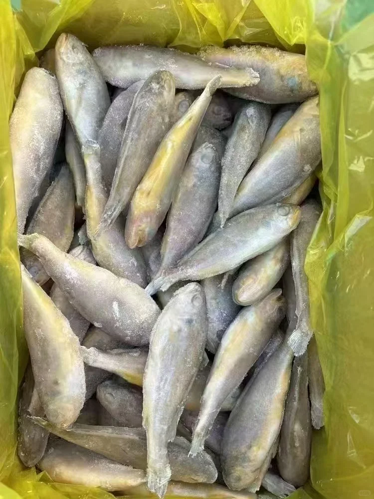 冻品销售的一天，全国可发