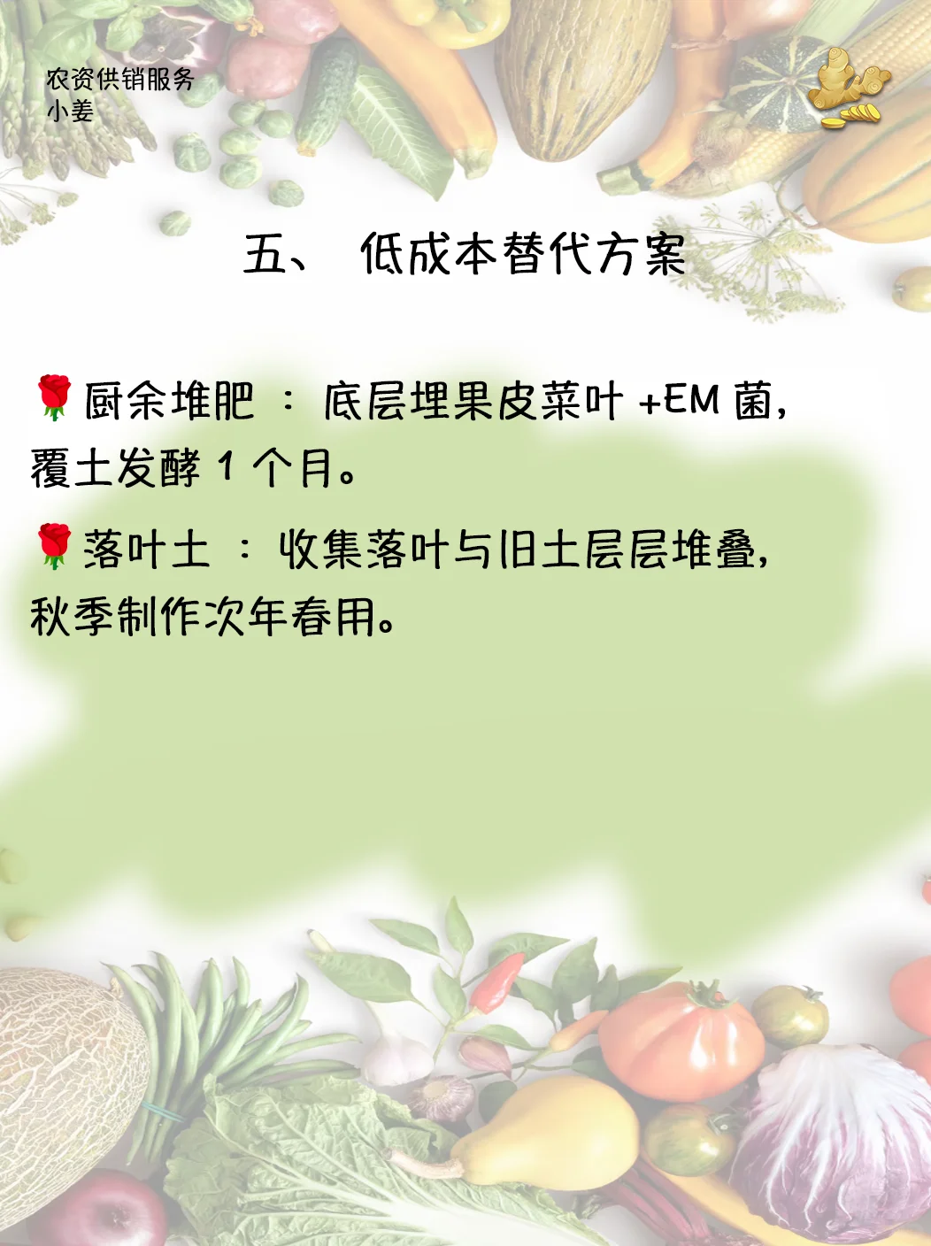 ?【总结篇】小菜园旧土翻新判断及处理