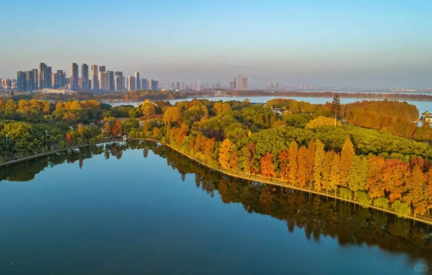 水环境治理：从水质达标迈向生物多样性恢复