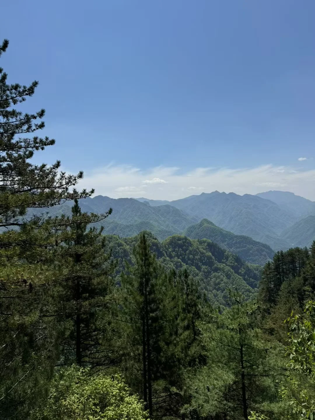 吃维生素D让我变快乐了