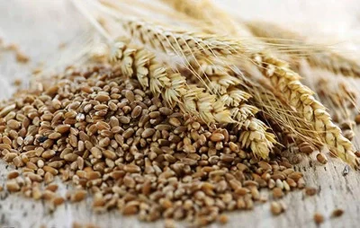 入秋后，多吃这3款杂粮，解馋下饭