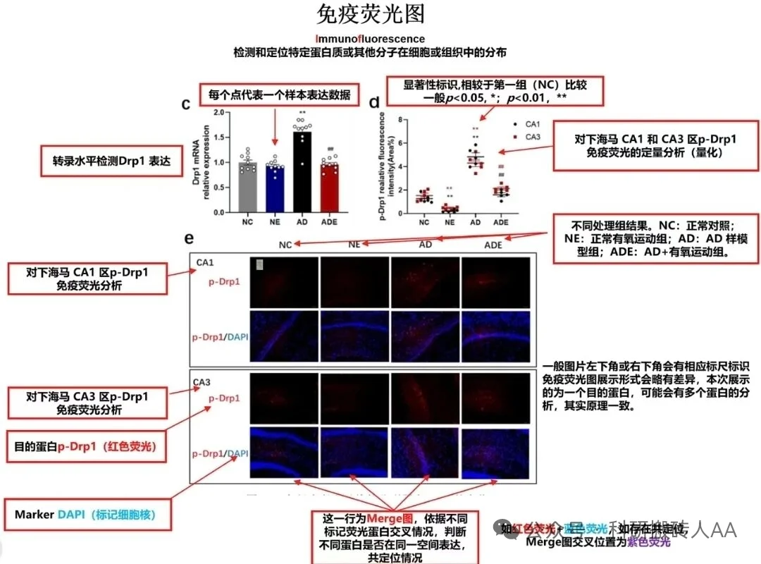 做IF实验的看过来了～内含福利