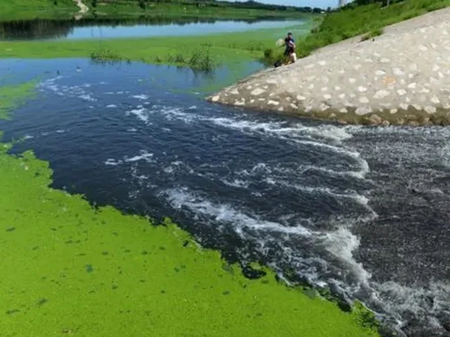 生态修复是江河湖库水体污染治理的主流