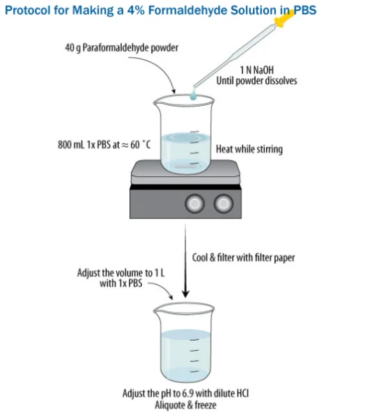 4% 多聚甲醛固定液配置
