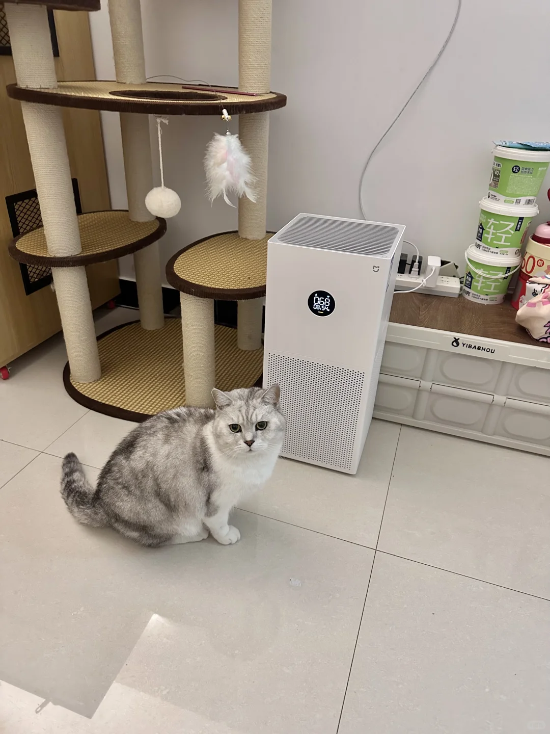 真的没有烟味了