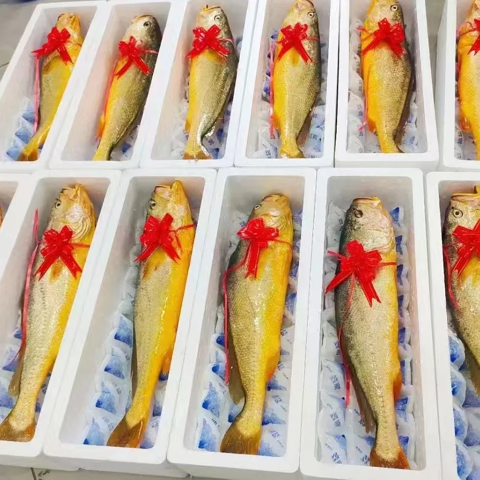 ?海味盛宴，共赏生态之美?