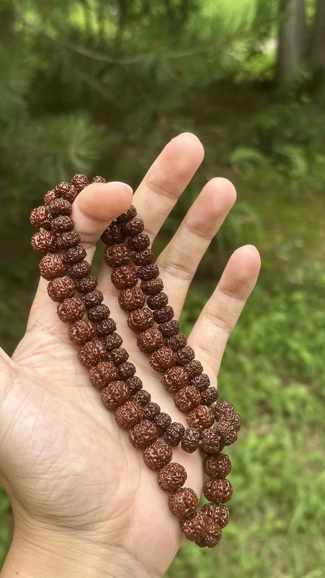 别再乱玩你的小金刚了，来看看我怎么说❗️