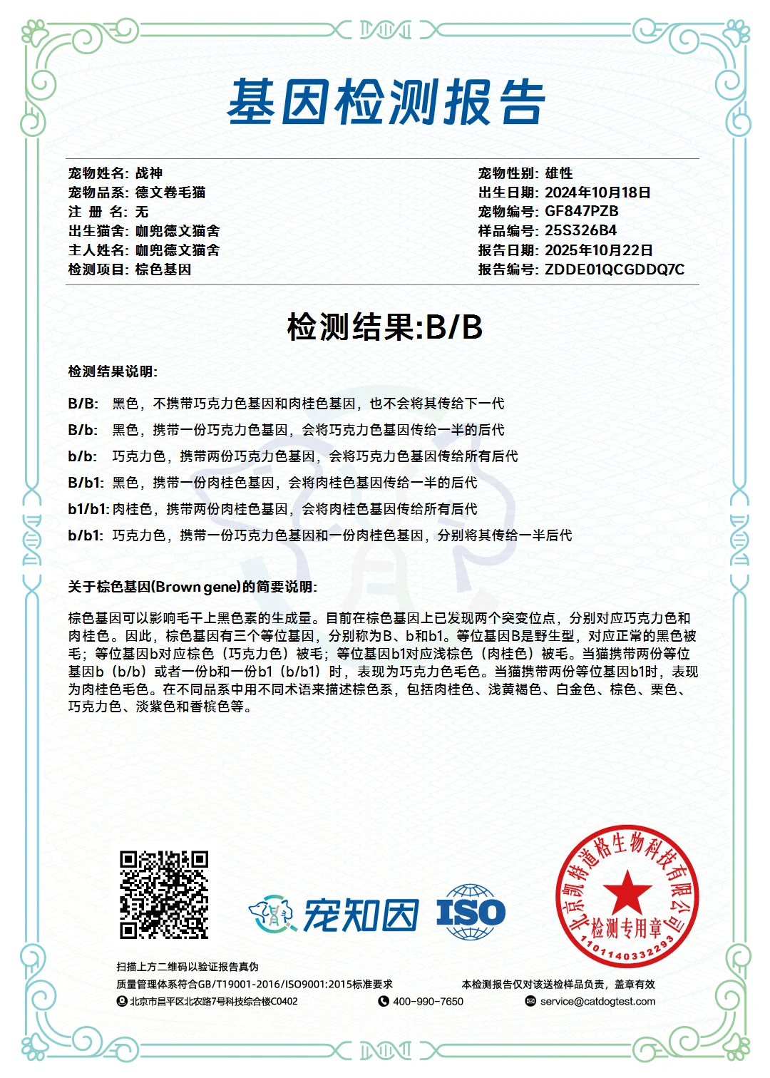 ❤️P血种公——战神? 宠知音基因检测报告