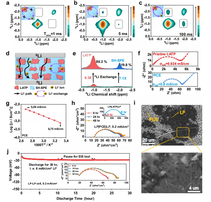 一种用于锂金属电池自修复塑料陶瓷电解质