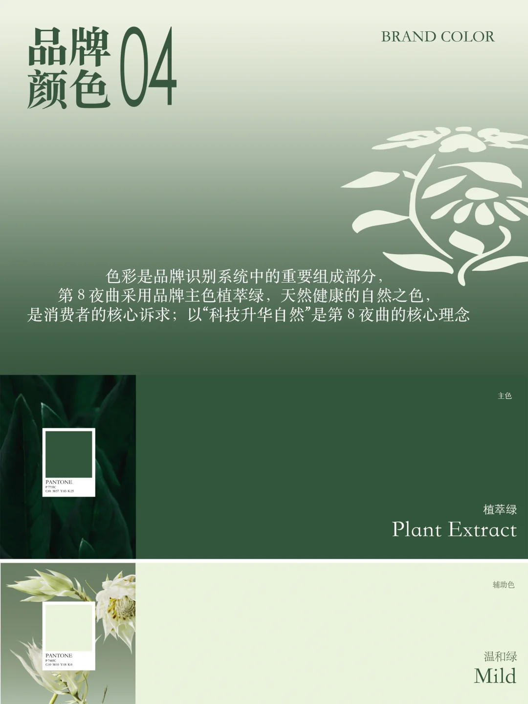 功能食品饮料全案设计｜从 0-1 打造新赛道