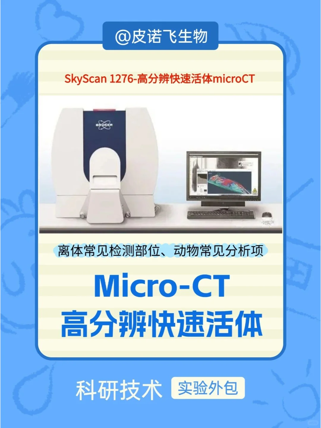 动物模型实验外包-高分辨快速活体microCT