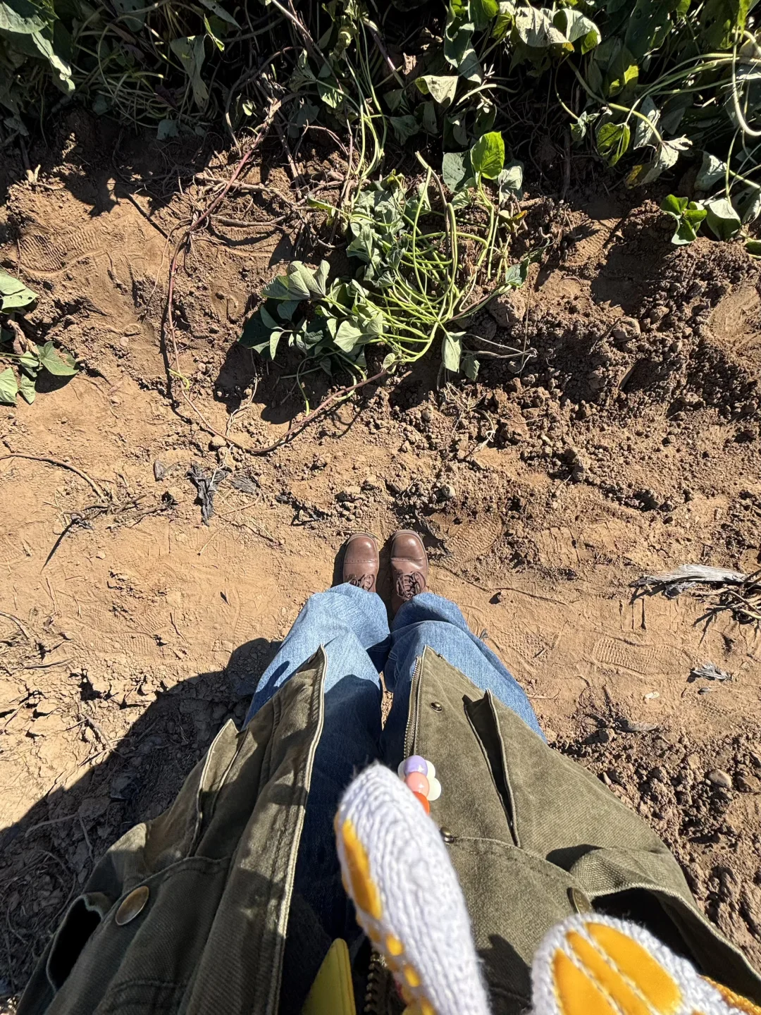 维生素D最充足的一集