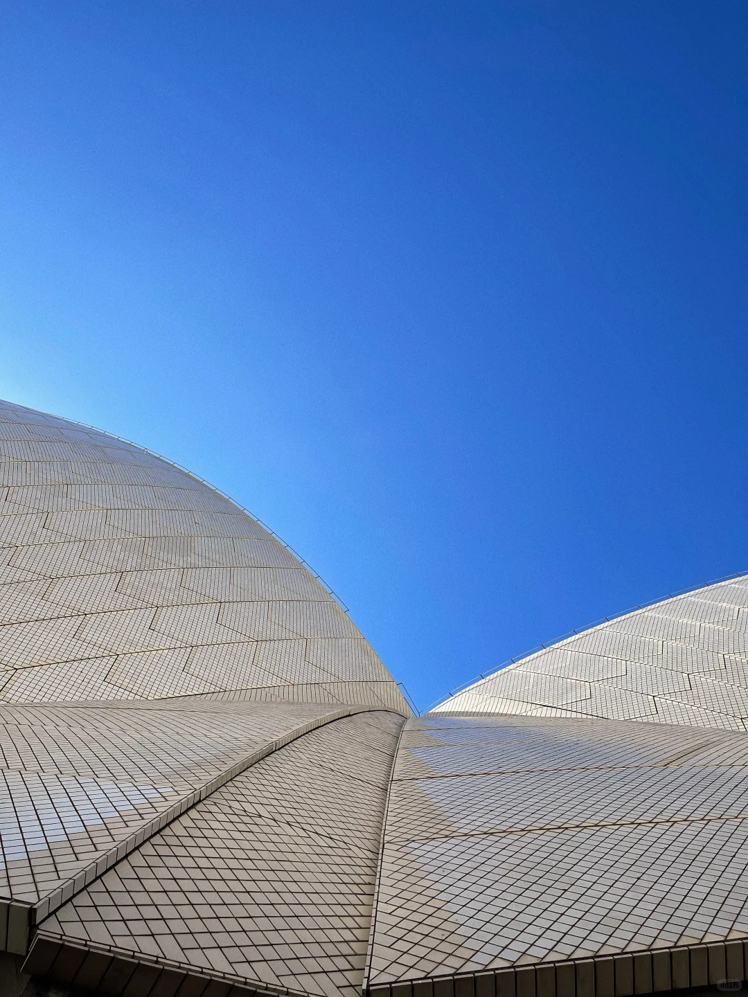 澳大利亚??悉尼歌剧院亲测攻略?️?☀️?