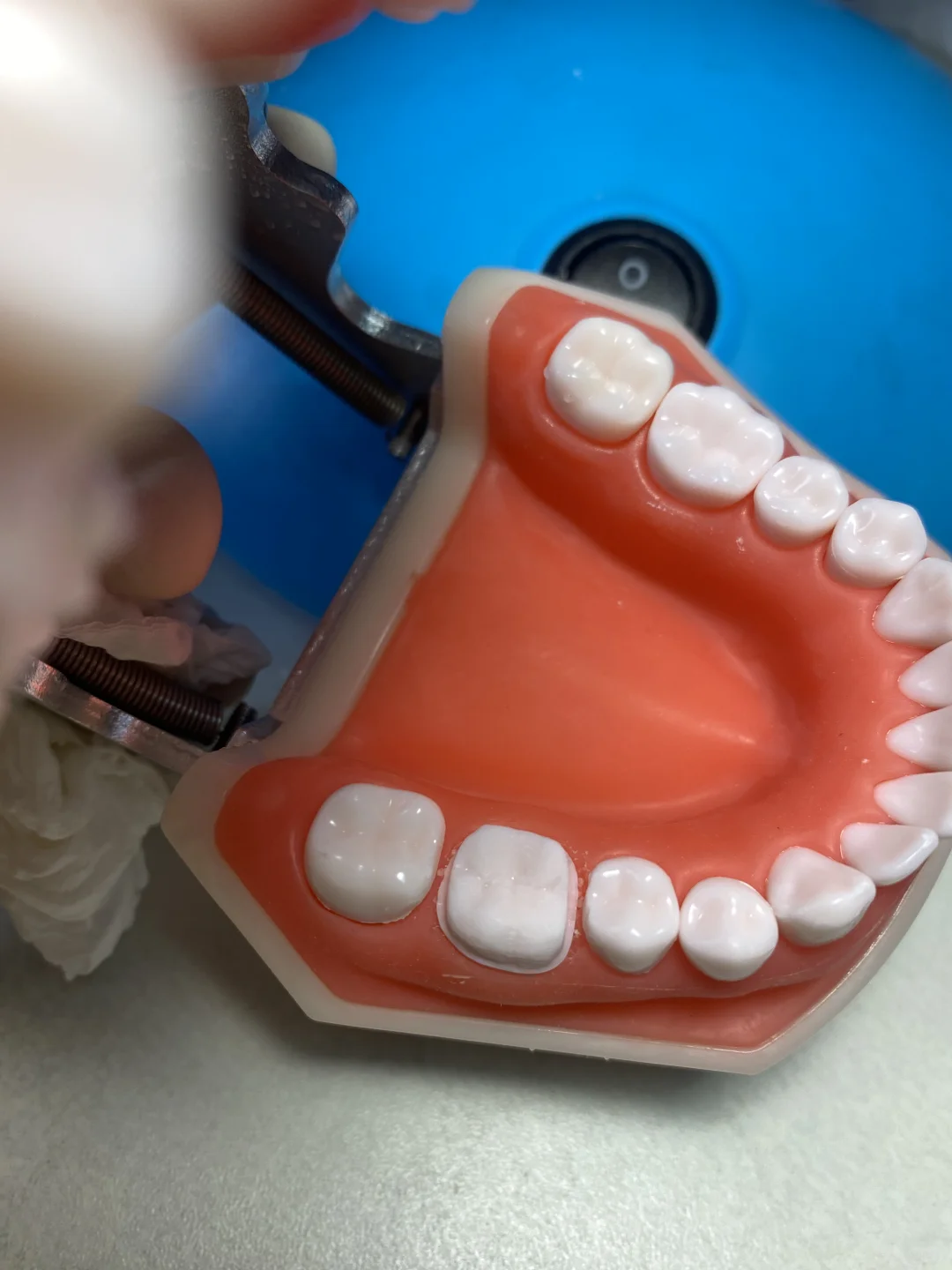 关于我的执业医口腔技能在家练习自用工具