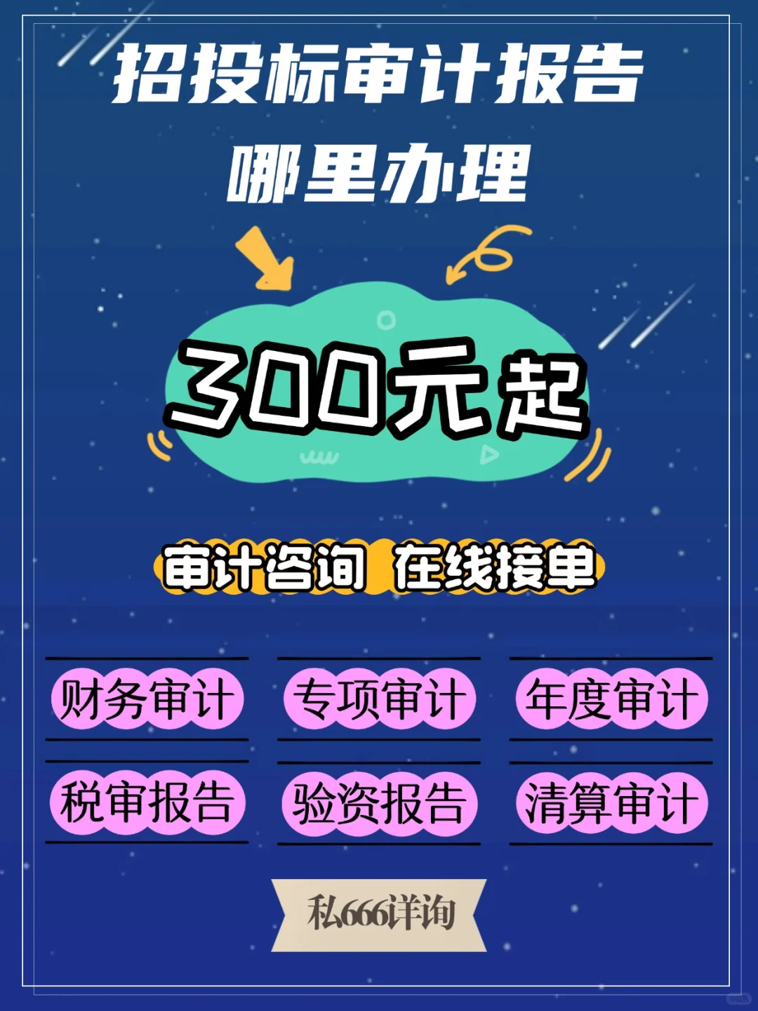 招投标审计报告哪里办理