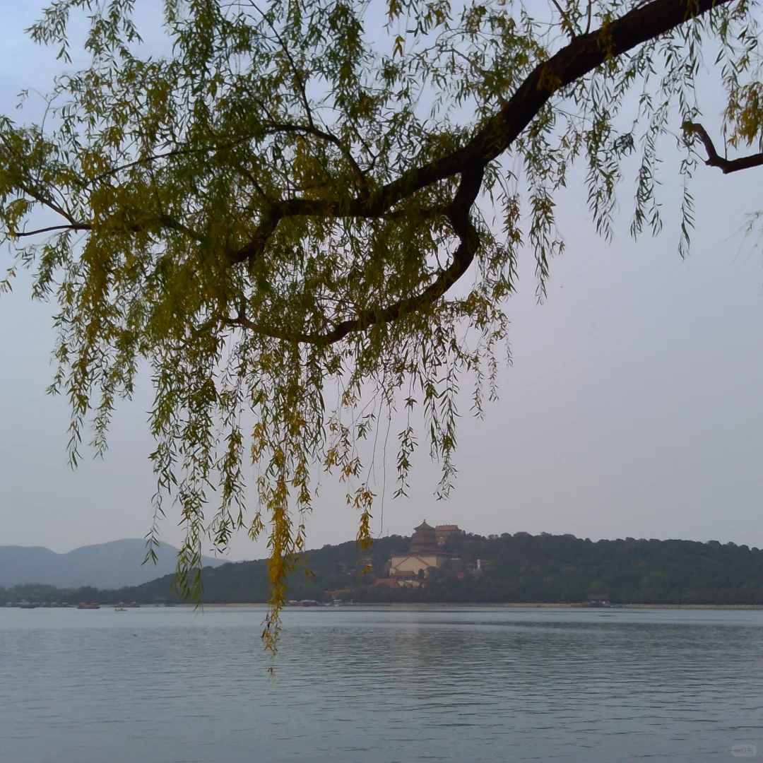 当你在阴天带一堆奇怪设备去颐和园