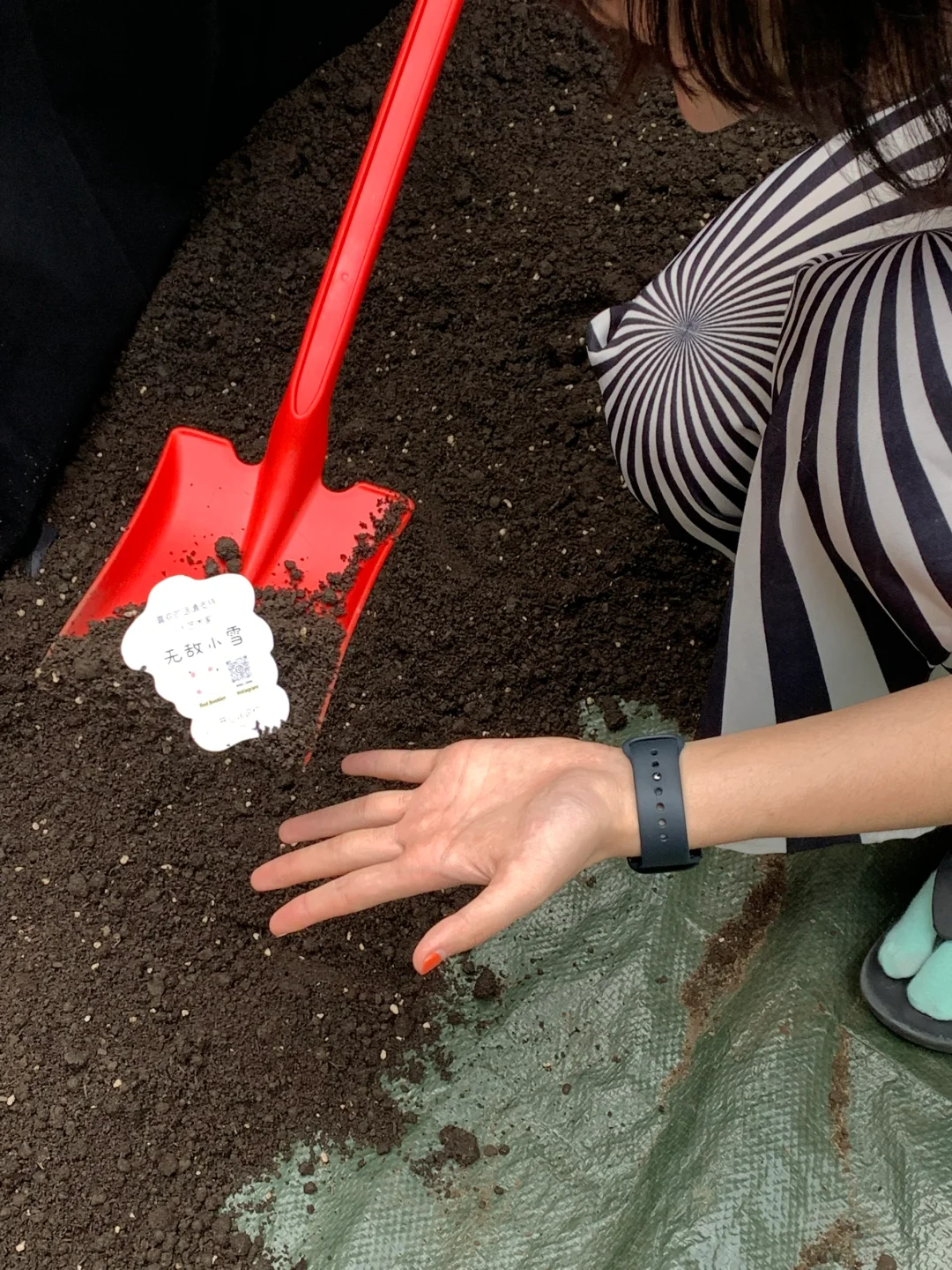 Snailgraphy毕设时间！～