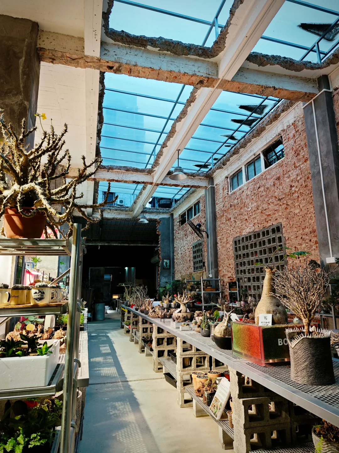 植物买手店和植物加工厂