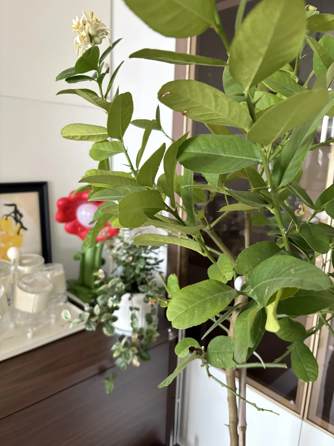 莫明涌上心头的焦虑感