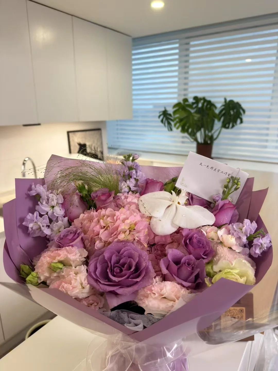 感恩审美认可❤️岚一家会继续努力??