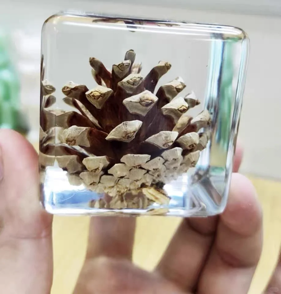 立体滴胶标本制作过程的避坑指南总结!!!