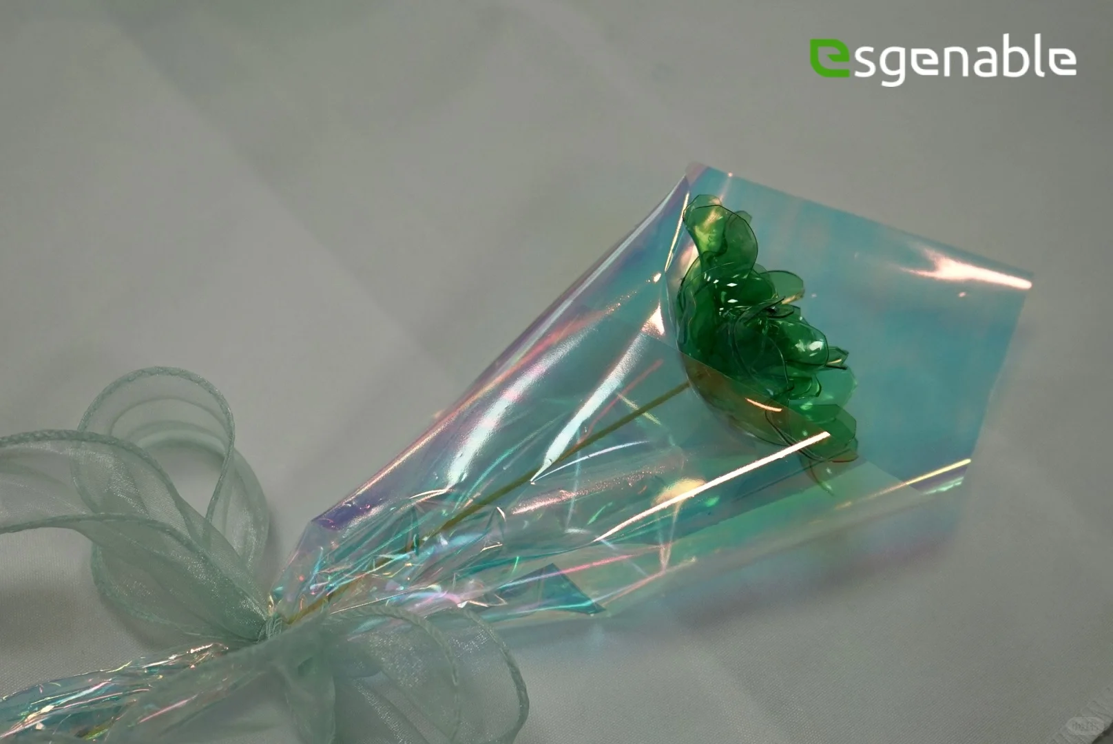 可持续环保工作坊|赋能行业协会可持续发展