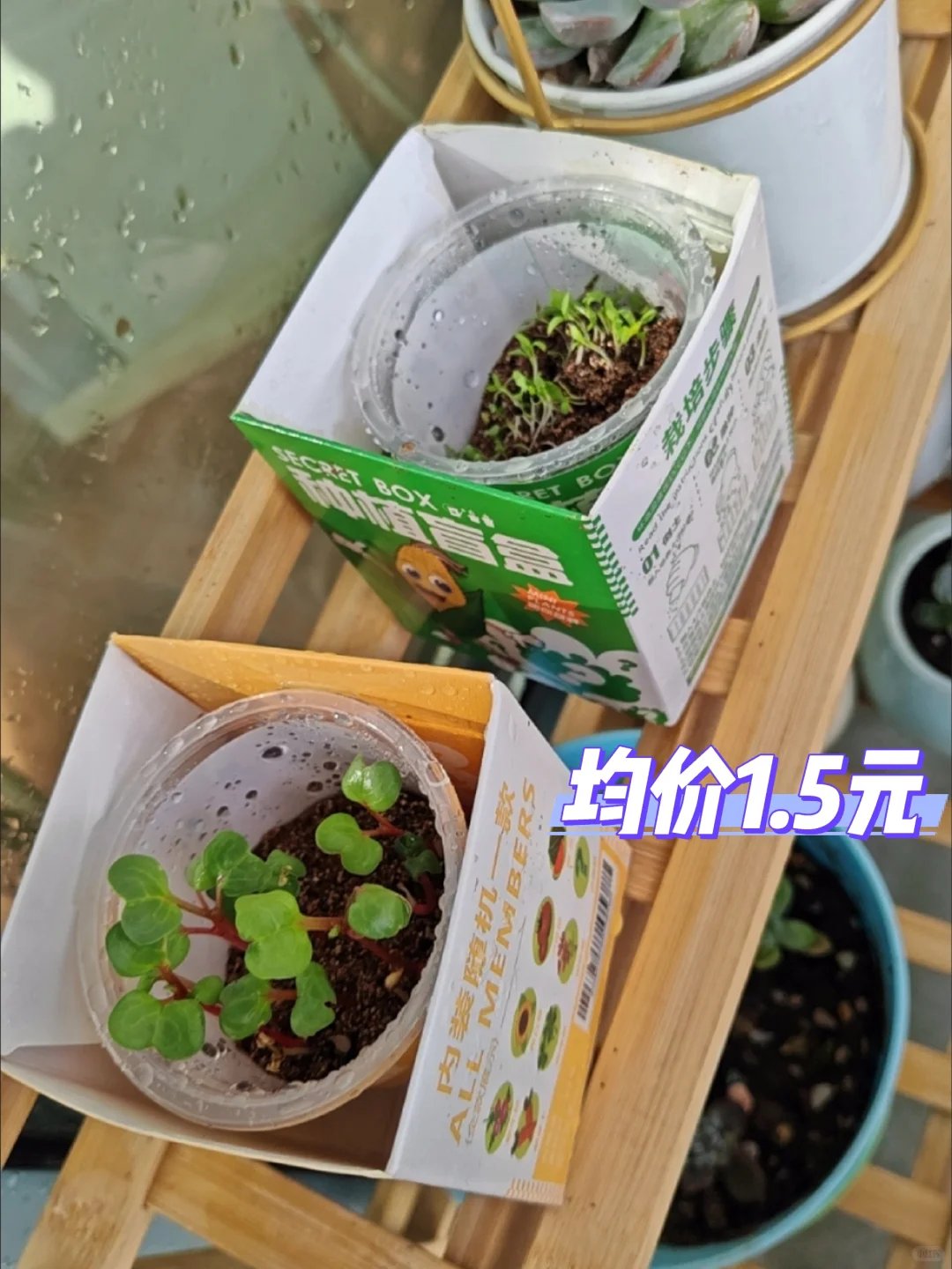 小学生最爱的奖品《第三弹》来了！