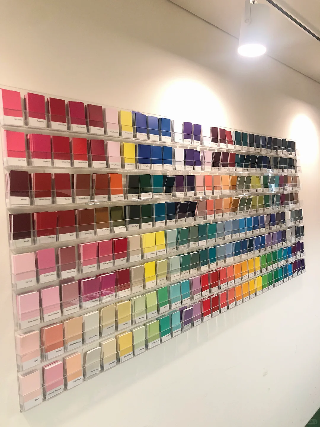 这些颜色真的绝了|个人色彩诊断