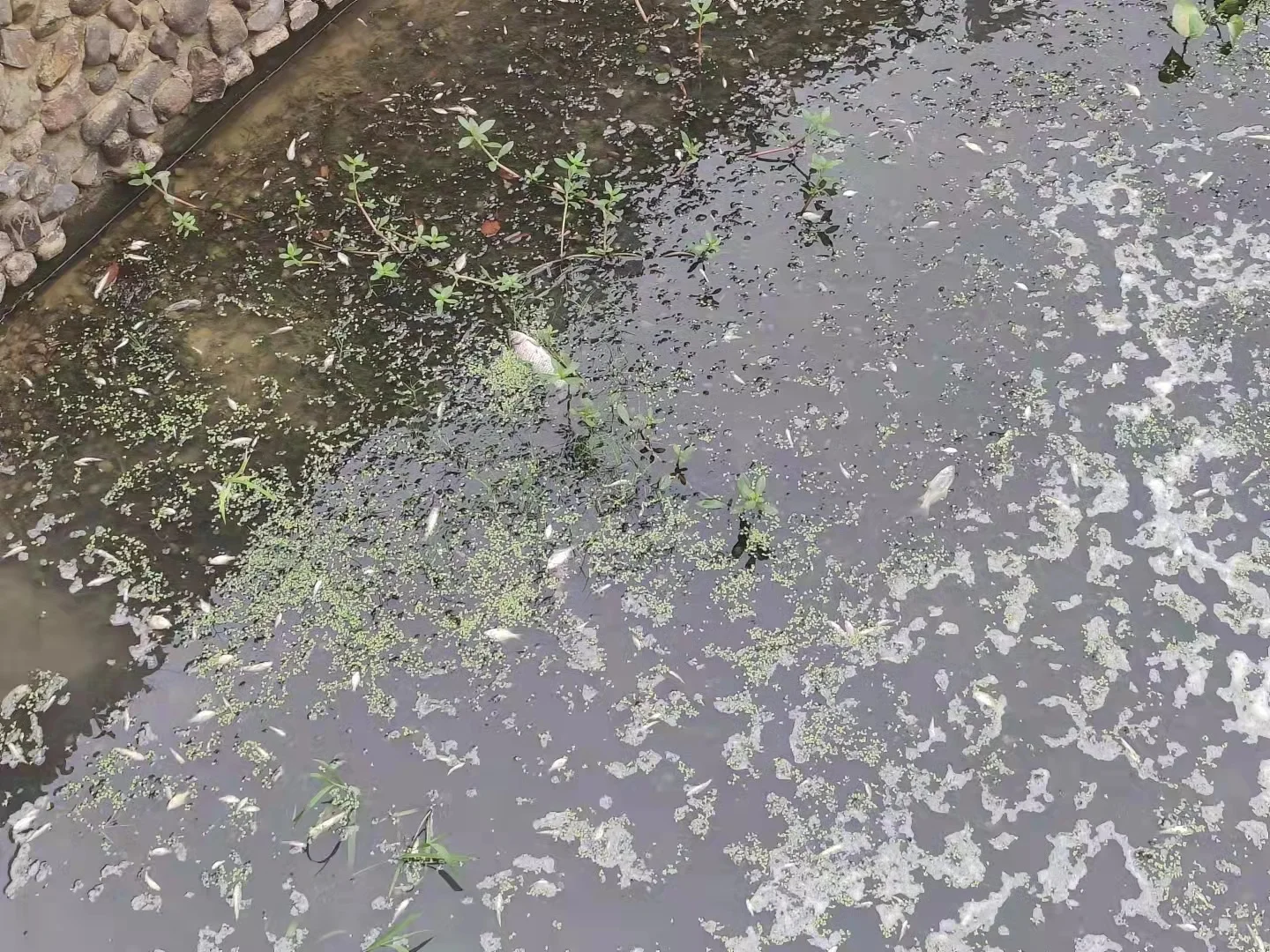 网格事件上报交流学习