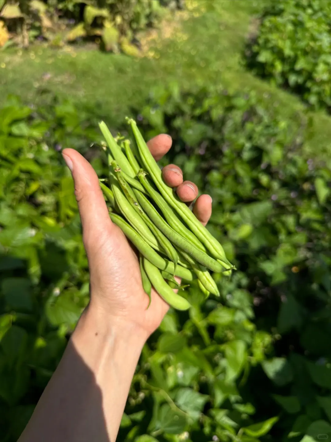 这是我们对土地的回应！