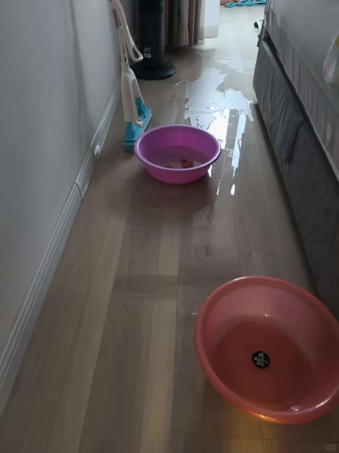 关于全屋进水，我有话要说