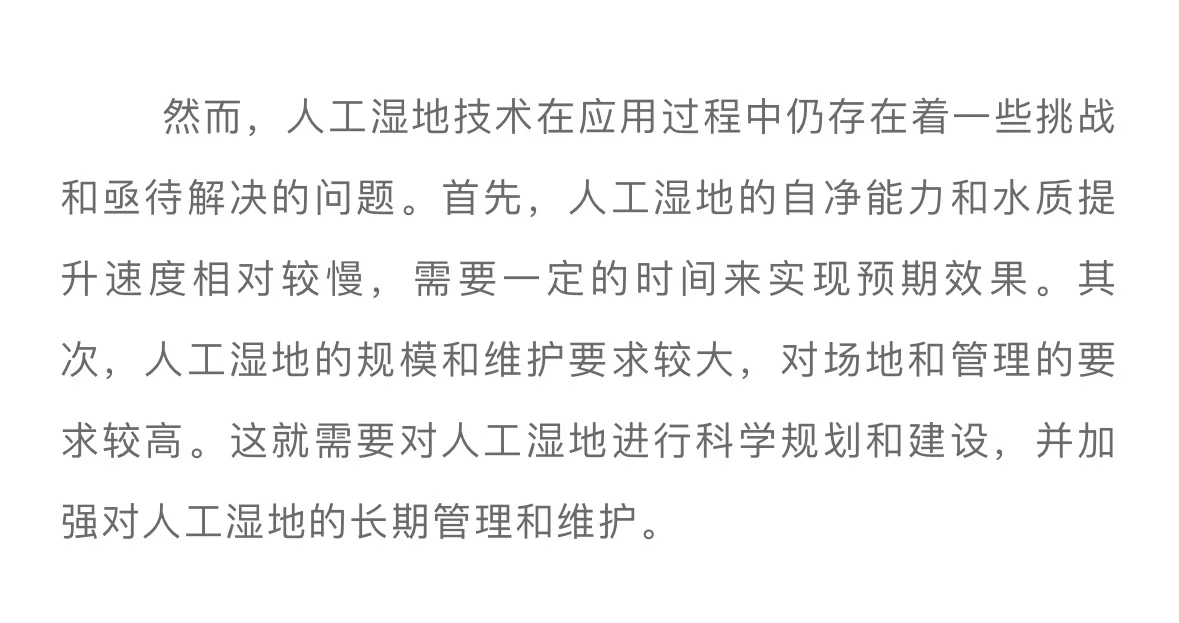 人工湿地技术在水环境修复中的应用