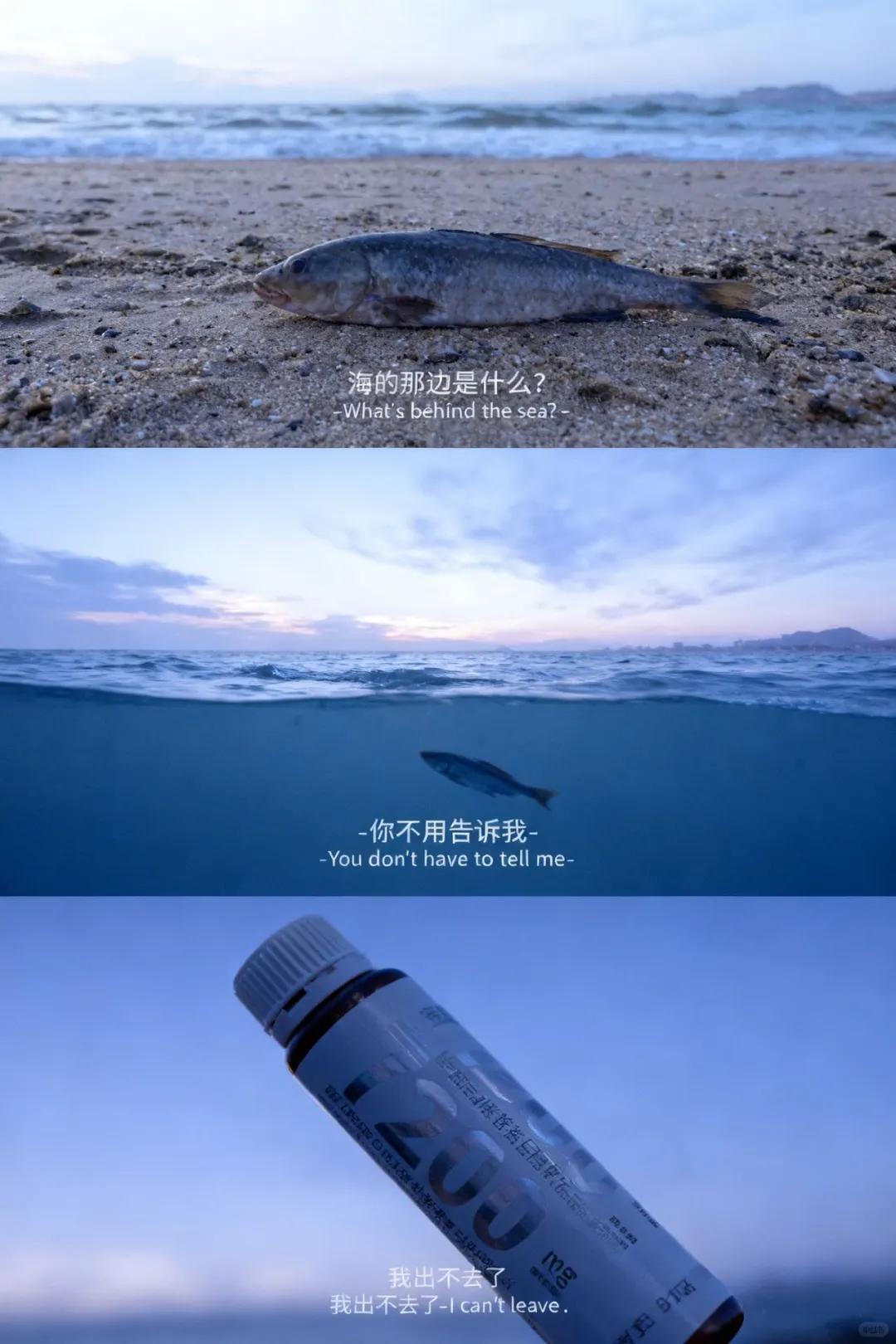 山的后面是....胶原蛋白肽….