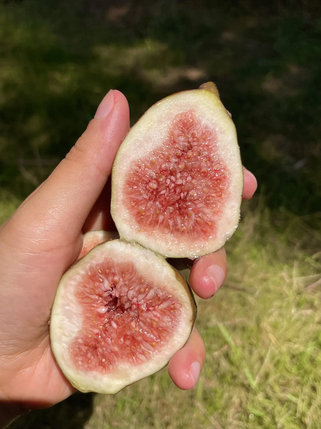 推荐冻起来吃?这样能吃一年～
