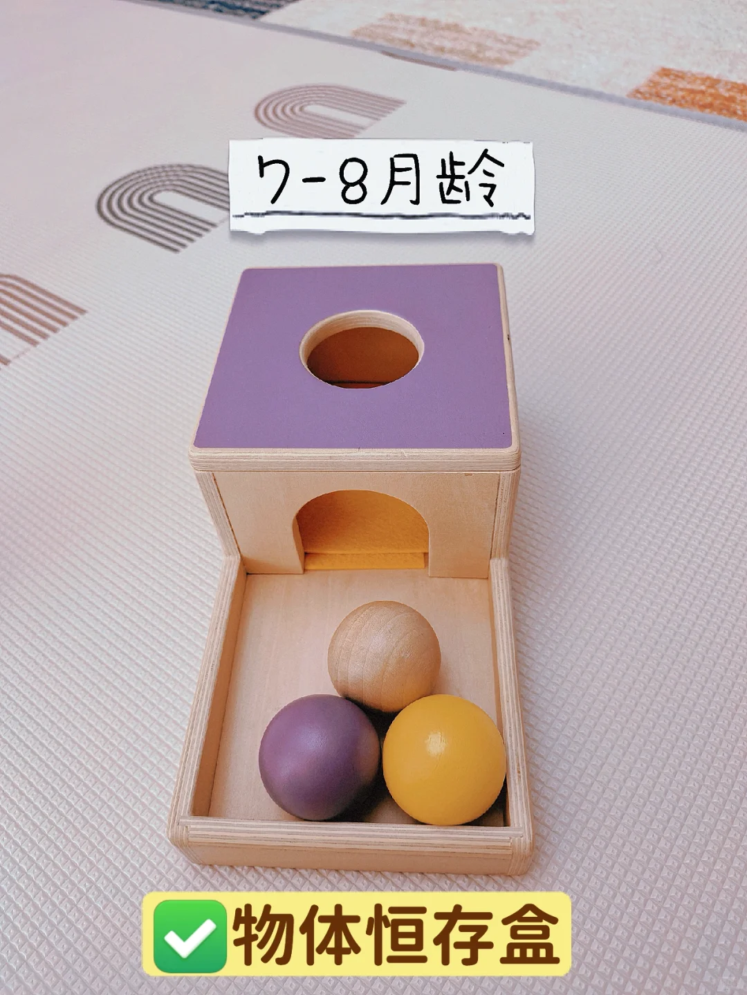 小月龄蒙氏玩具（精华版）