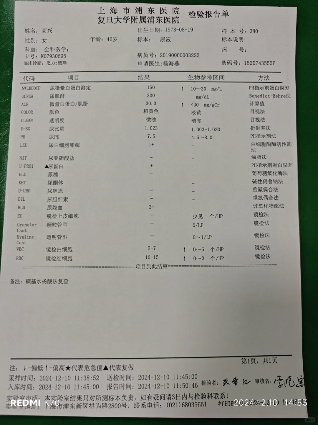 2024年12月体检报告