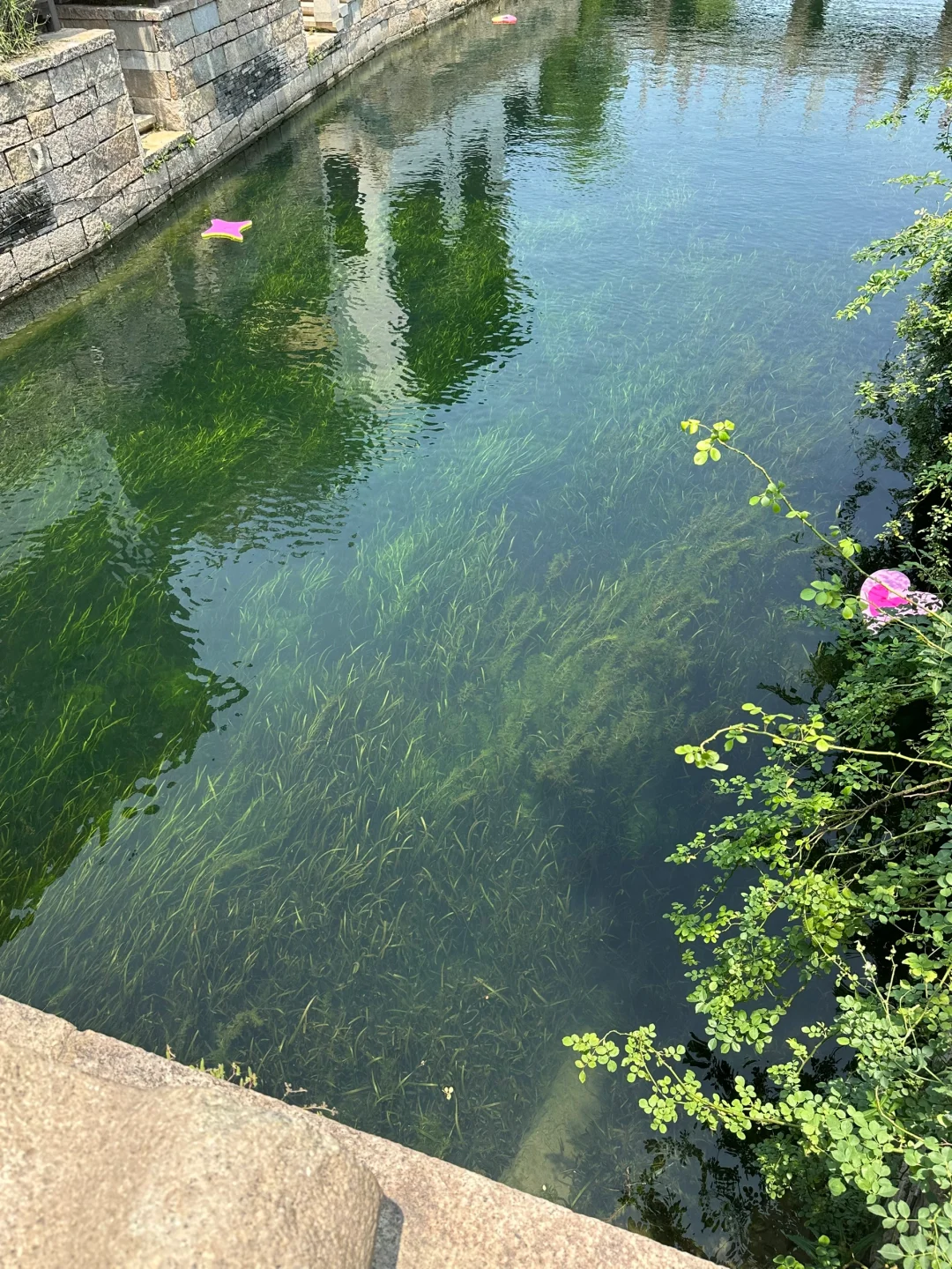 live｜无滤镜江南果冻河，有“科技”也有狠活！