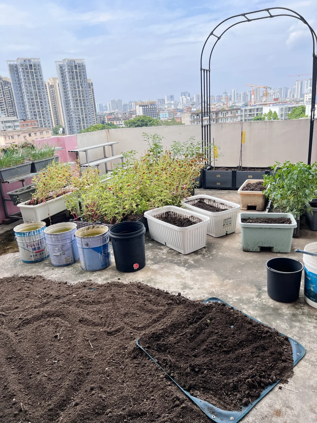 旧土如何变成更好的肥土❓