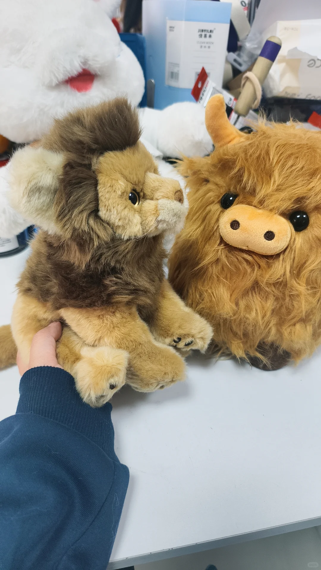 在深秋开启热爱的旅程