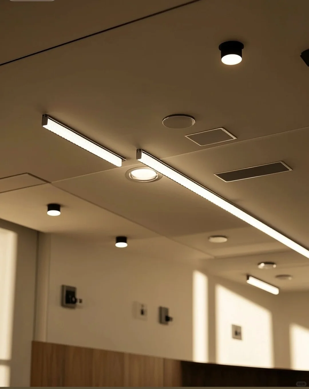 大家筒灯射灯灯带轨道插座都买的什么呢