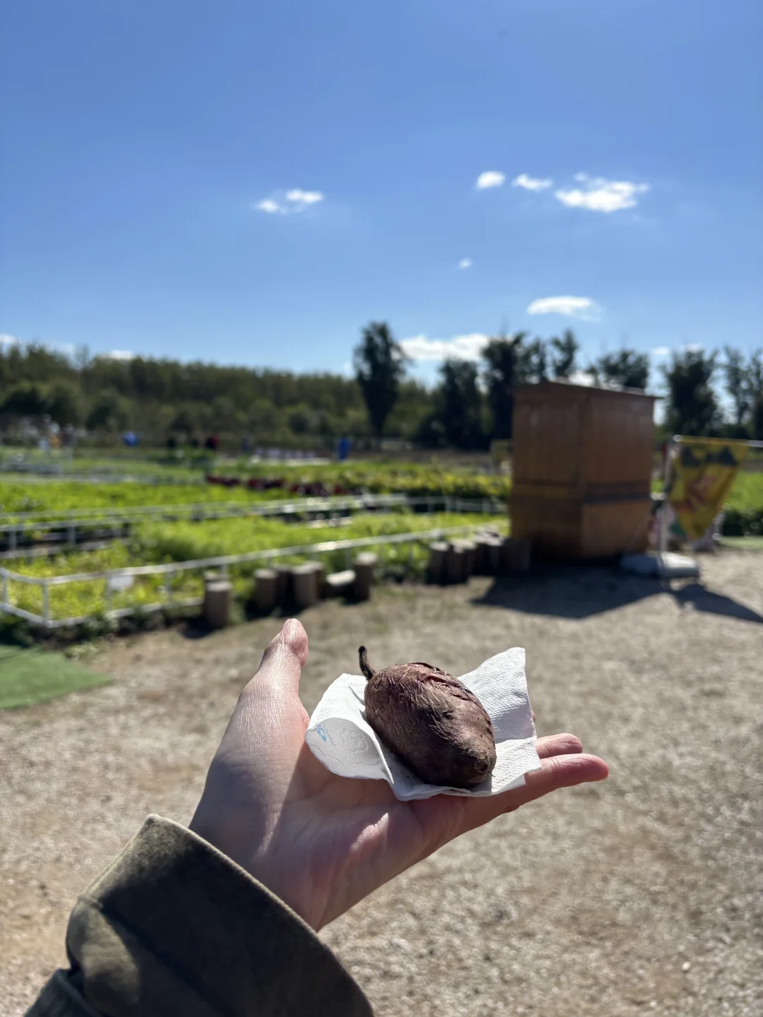 维生素D最充足的一集